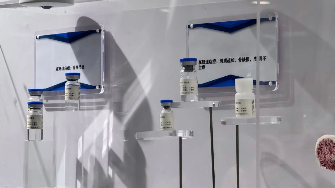 Z6·尊龙「中国」官方网站