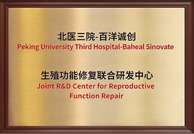 Z6·尊龙「中国」官方网站