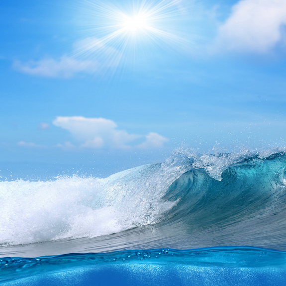 Z6·尊龙「中国」官方网站