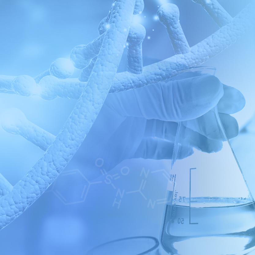 Z6·尊龙「中国」官方网站