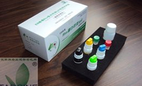 Z6·尊龙「中国」官方网站