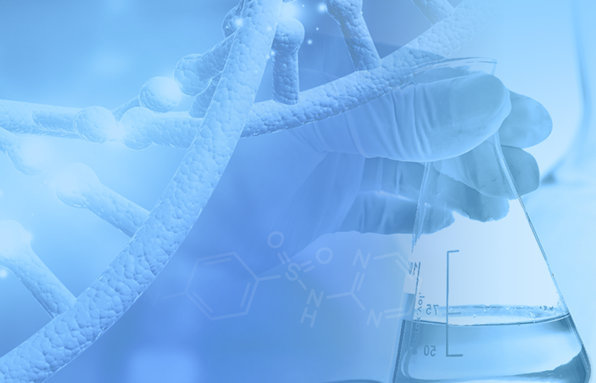 Z6·尊龙「中国」官方网站