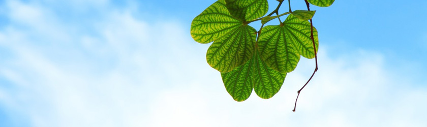 Z6·尊龙「中国」官方网站